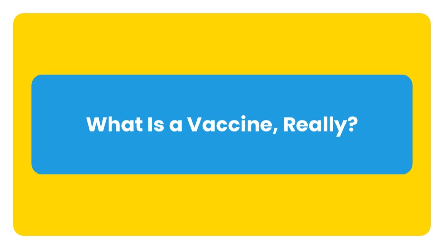 Slide 05 of the vaccines deck